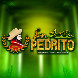 Artista Feria San Pedrito